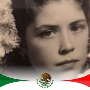 Meet your Posher, Bob